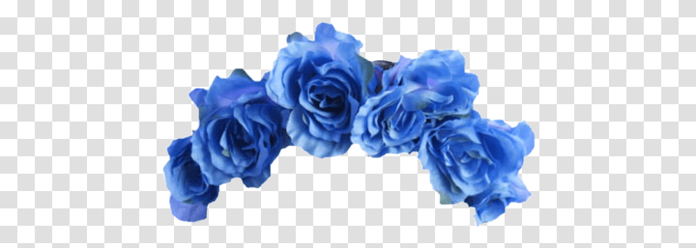 Blue Flower Crown Lightblue Ocean Aesthetic Roses Flowe Aesthetic Flower Crown, Plant, Blossom, Carnation, Jewelry Transparent Png