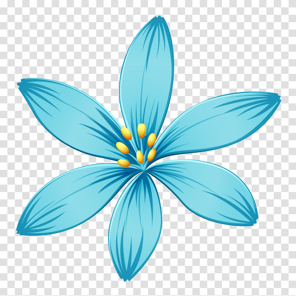 Blue Flower, Plant, Blossom, Petal, Anther Transparent Png