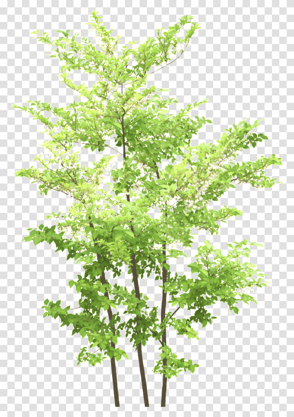 Blue Flower Tree Portable Network Graphics, Plant, Maple, Snowflake, Leaf Transparent Png
