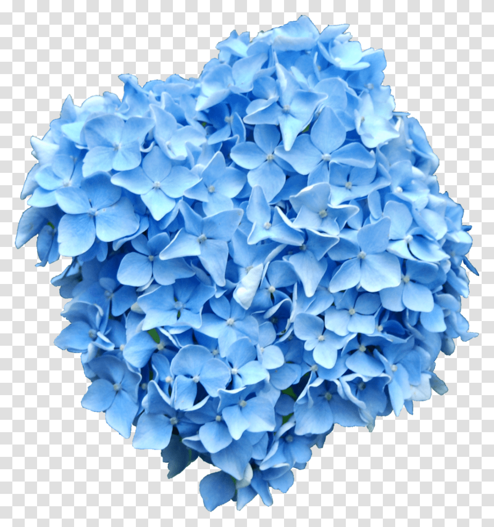 Blue Flowers Blue Hydrangea, Paper, Origami, Tissue Transparent Png
