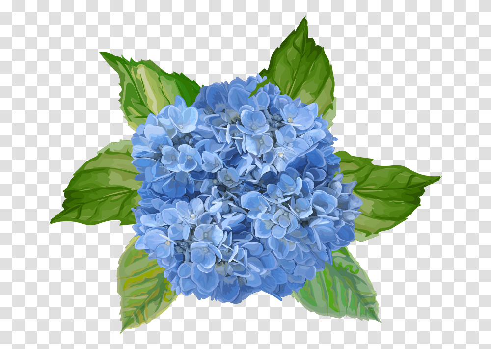 Blue Flowers Flower Wall Decal Bl Blomster, Plant, Blossom, Flower Bouquet, Flower Arrangement Transparent Png