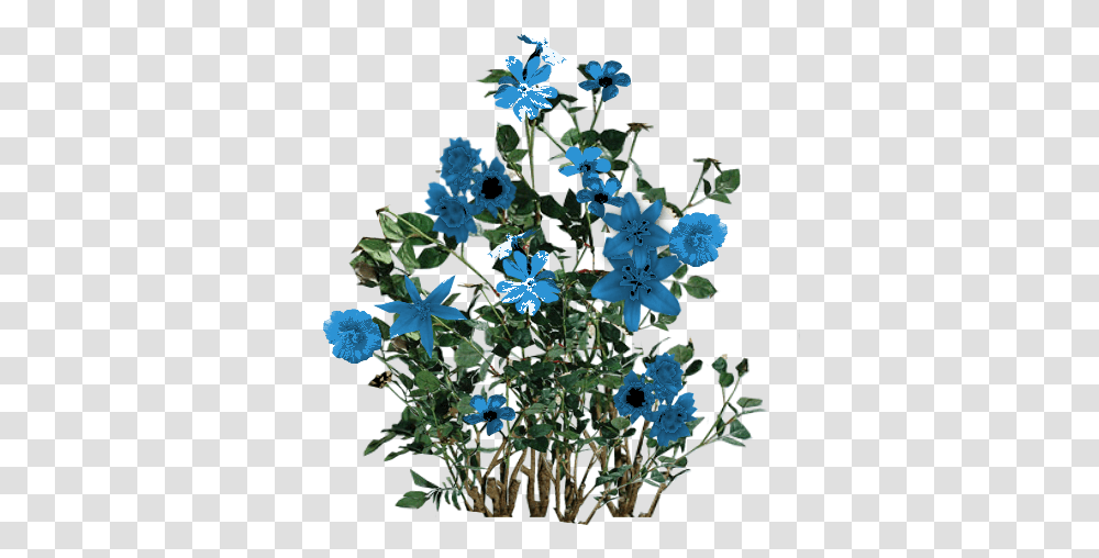 Blue Flowers High Quality Gilbert Cameron Ka10 Flower For Photoshop, Plant, Geranium, Blossom, Anemone Transparent Png
