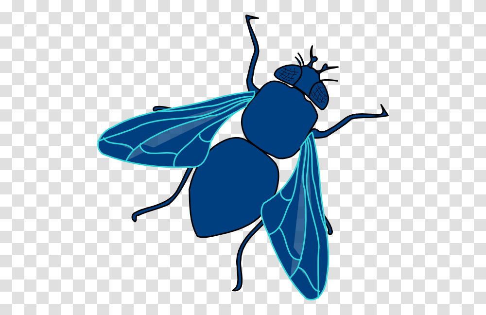 Blue Fly Clip Art, Insect, Invertebrate, Animal, Wasp Transparent Png