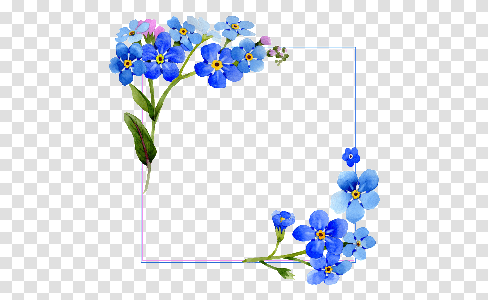 Blue Frame Border Square Flower Freetoedit Mimi Flower Vector Frame, Plant, Iris, Anemone, Flower Arrangement Transparent Png