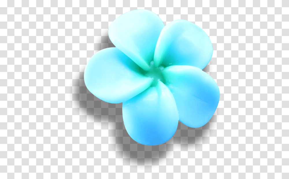 Blue Frangipani Blue Frangipani, Balloon, Flower, Plant, Accessories Transparent Png