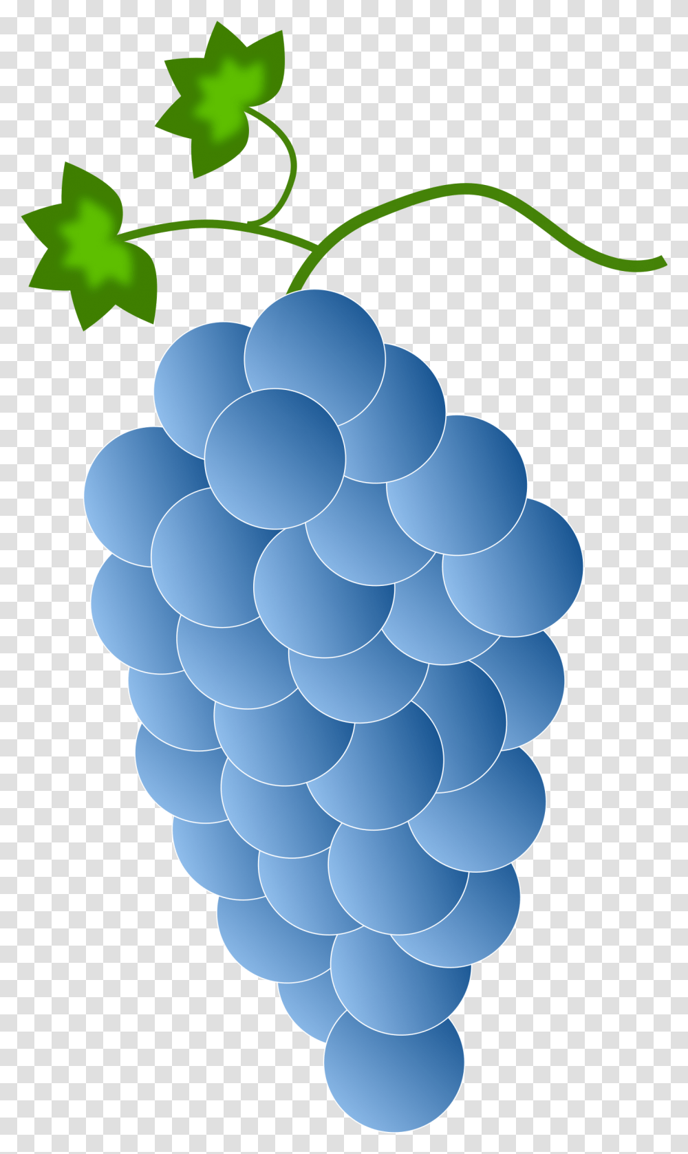 Blue Grapes Clip Arts Blue Grapes Clipart, Plant, Fruit, Food Transparent Png