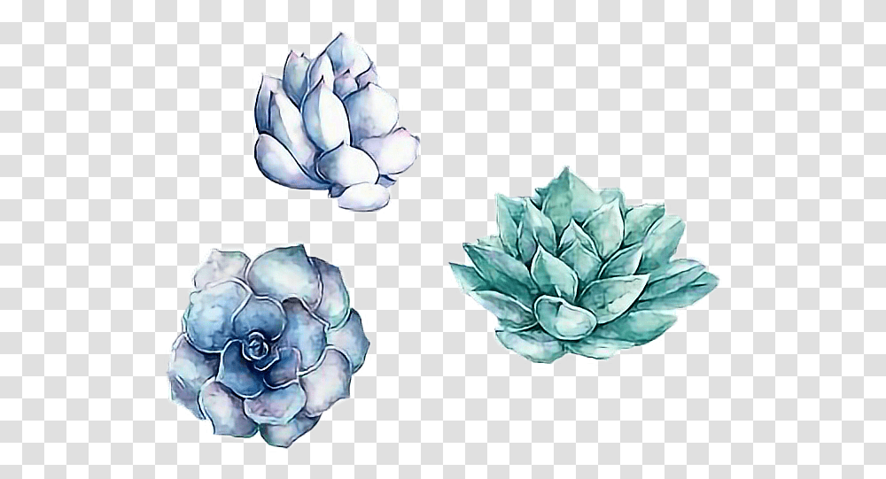 Blue Green Aesthetic Tumblr Sticker By Raydah Ahsan Stiker Aesthetic Blue, Plant, Pattern, Art, Ornament Transparent Png