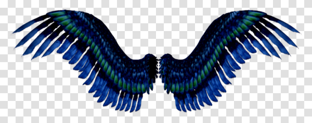Blue Green Black Wings Flying Halloween Wings Flying, Bird, Animal, Fish, Purple Transparent Png