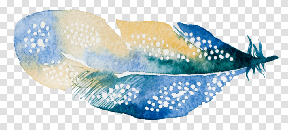 Blue Green Feather Visual Arts, Fish, Animal, Sea Life, Invertebrate Transparent Png