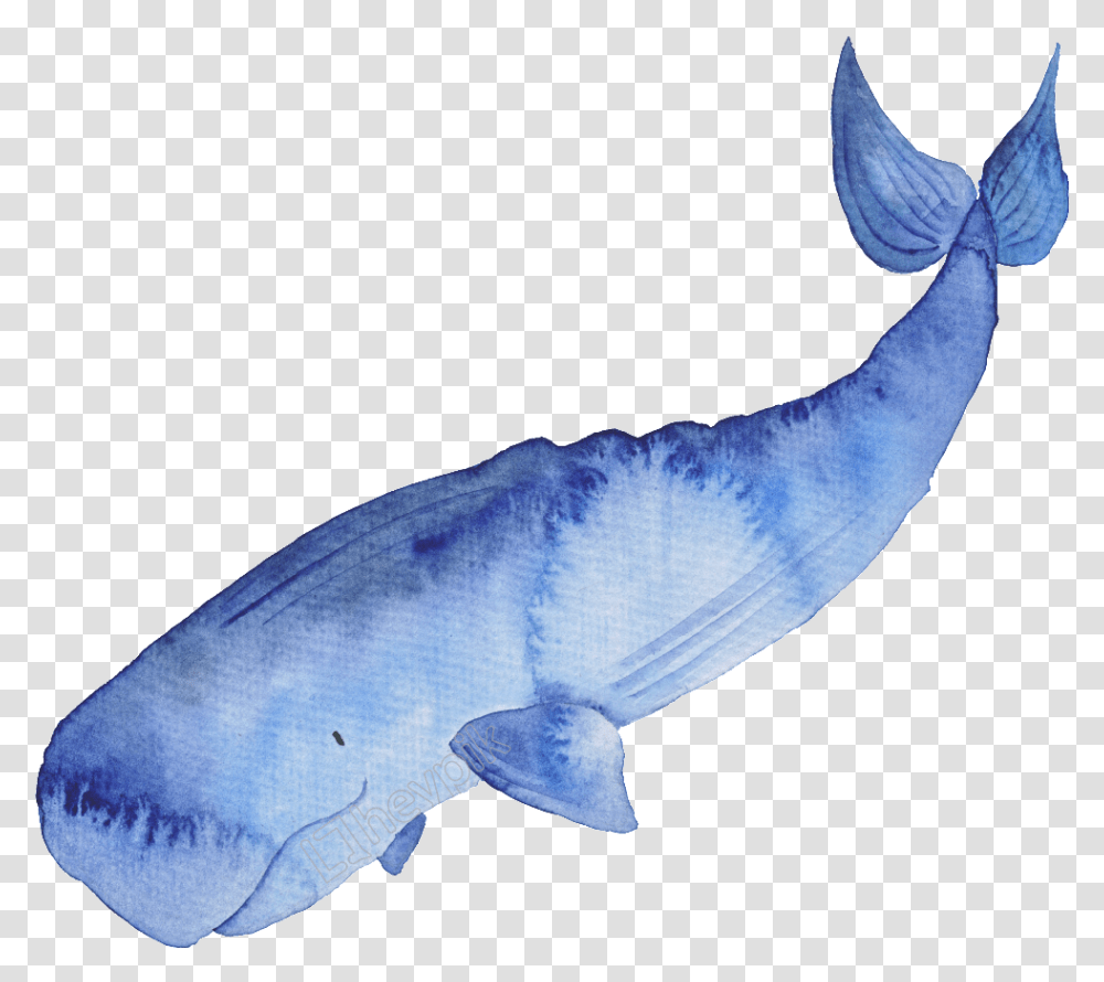 Blue Hand Painted Watercolor Watercolor Whale, Animal, Sea Life, Mammal, Person Transparent Png