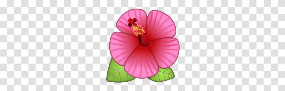 Blue Hawaiian Flower Clipart Clipart, Plant, Hibiscus, Blossom, Balloon Transparent Png