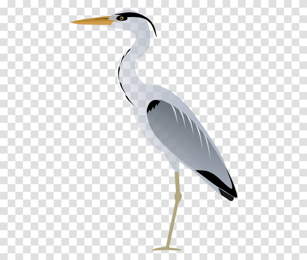 Blue Heron Clipart, Waterfowl, Bird, Animal, Ardeidae Transparent Png