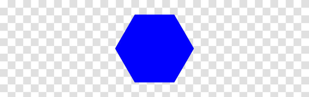 Blue Hexagon Icon, Plant, Fir Transparent Png