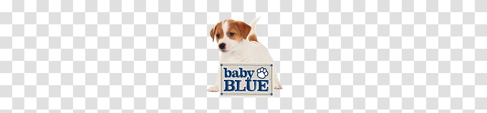 Blue High Protein Grain Free Dog Food Blue Buffalo, Puppy, Pet, Canine, Animal Transparent Png