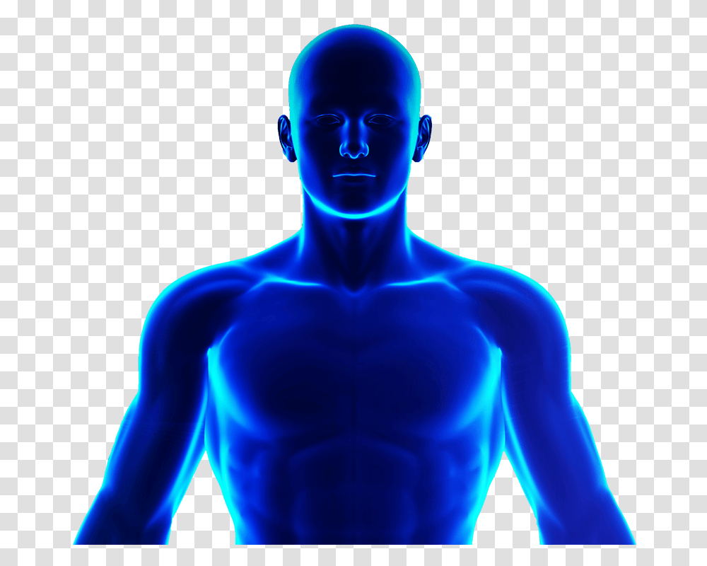 Blue Human Body, Person, Stomach, X-Ray, Ct Scan Transparent Png