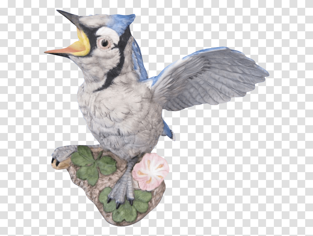 Blue Jay Blue Jay, Bird, Animal, Parrot, Cockatoo Transparent Png