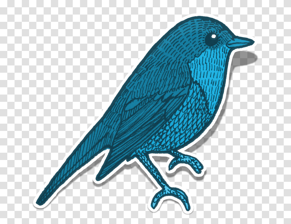 Blue Jay Clipart 18 Buy Clip Art Elementos De La Naturaleza Animales, Bird, Bluebird, Wren Transparent Png
