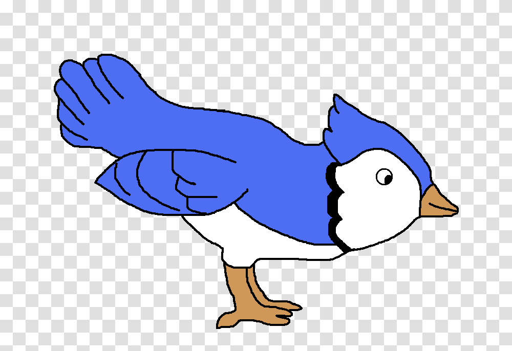 Blue Jay Clipart, Bird, Animal, Duck, Bluebird Transparent Png
