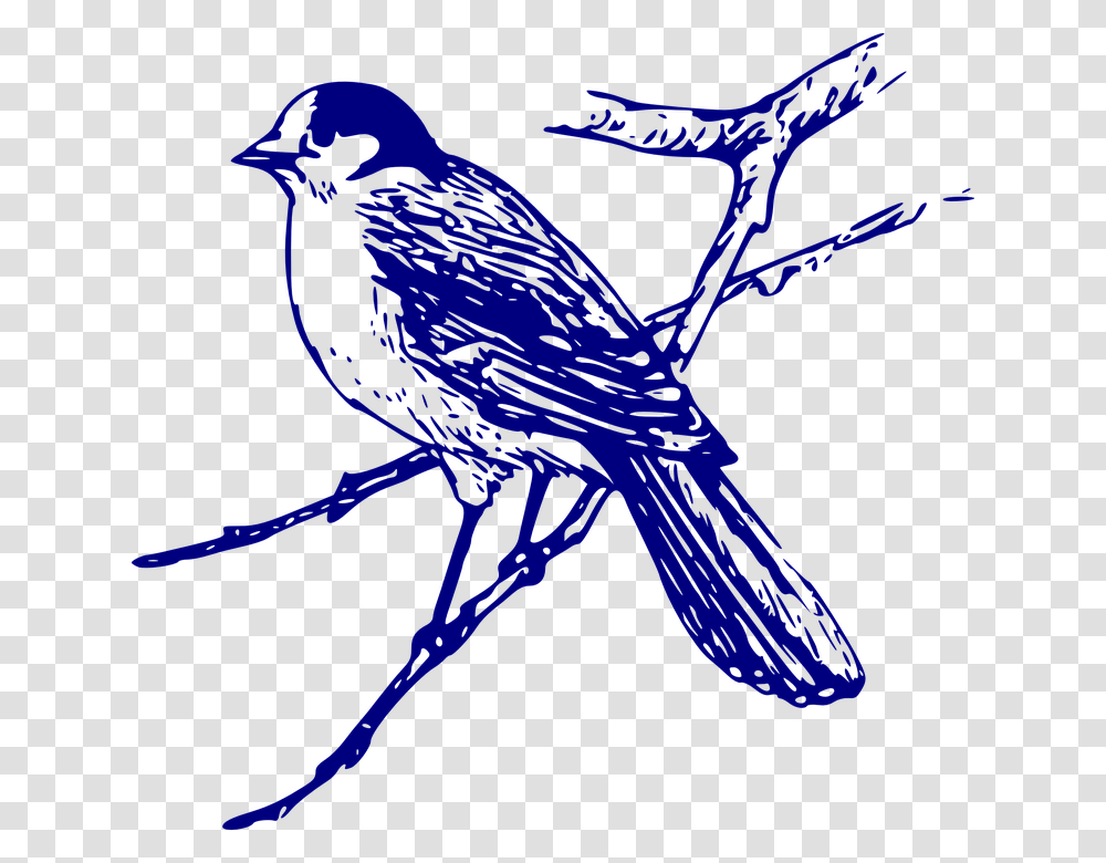 Blue Jay Clipart Vector, Animal, Bird, Silhouette, Blackbird Transparent Png