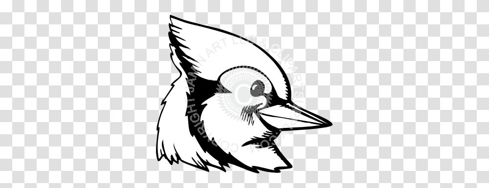 Blue Jay Head Turned Sideways, Animal, Beak, Bird, Sea Life Transparent Png