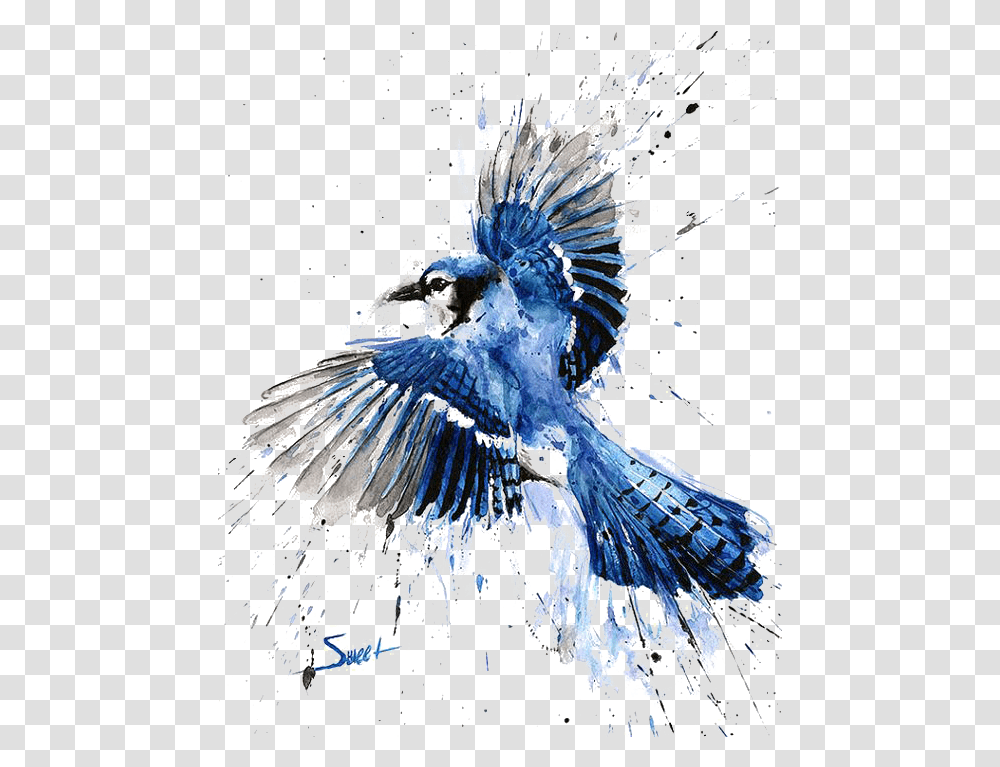 Blue Jay Watercolor Painting Blue Jay Painting, Bird, Animal Transparent Png