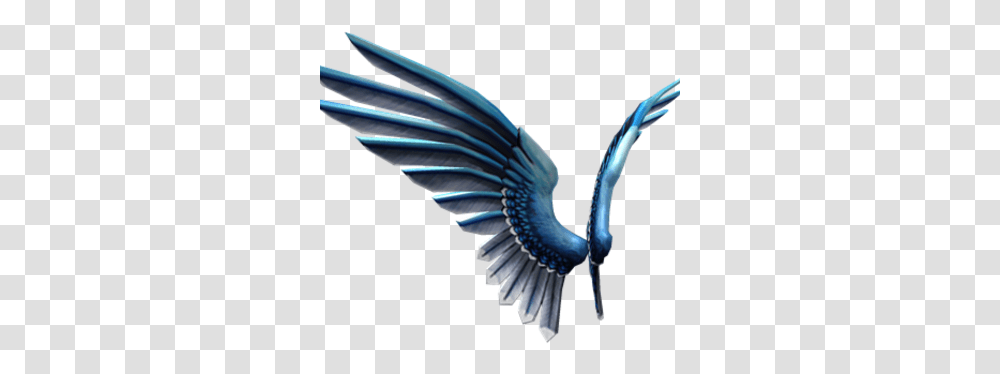 Blue Jay Wings Blue Jay Bird Wings, Animal, Flying, Bluebird Transparent Png