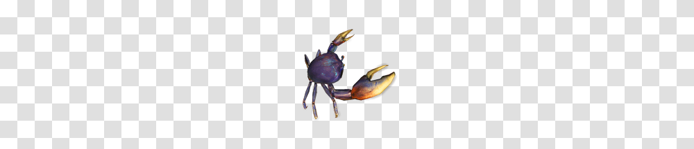 Blue Land Crab Pet, Sea Life, Animal, Seafood Transparent Png