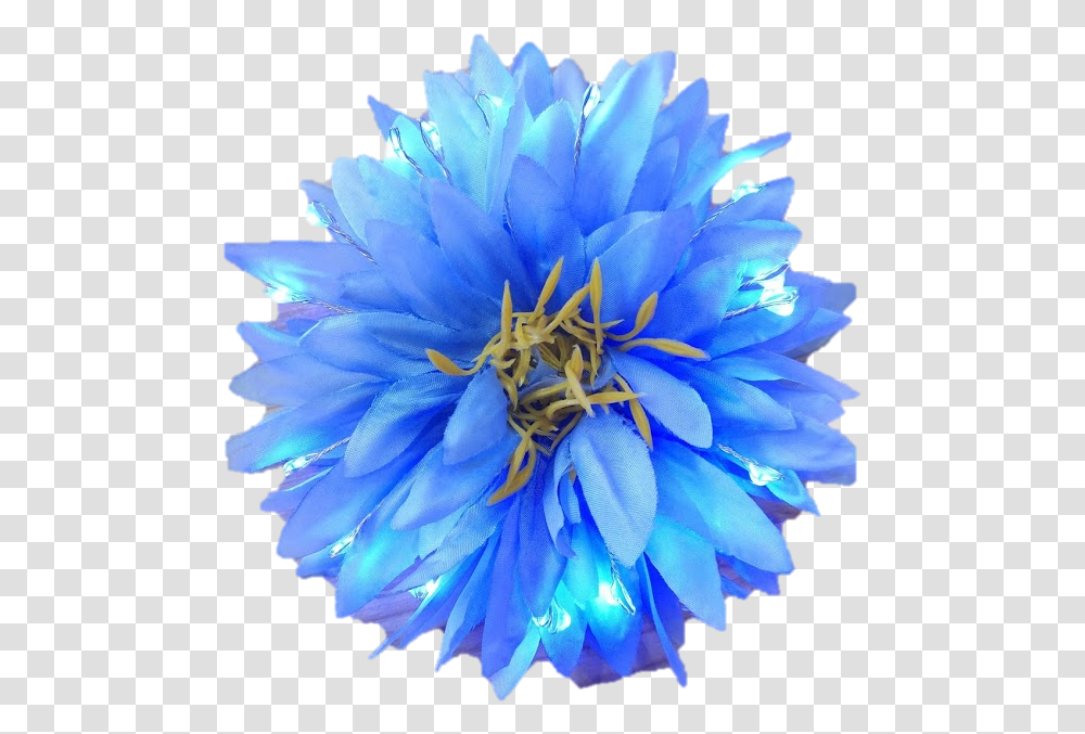 Blue Light Up Glowing Hair Flower Light Blue Flower, Pollen, Plant, Anther, Geranium Transparent Png