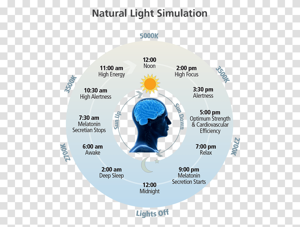 Blue Lighting Natural Light Chart, Nature, Outdoors, Plot, Mountain Transparent Png