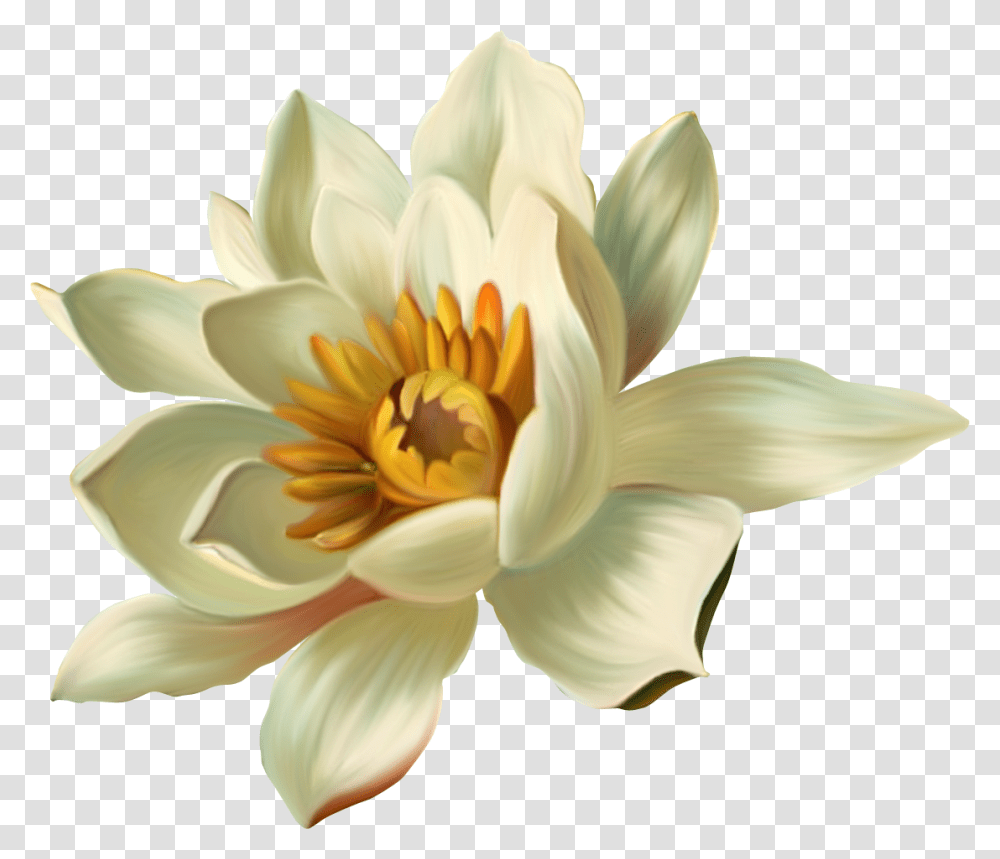Blue Lotus Clipart, Lily, Flower, Plant, Blossom Transparent Png