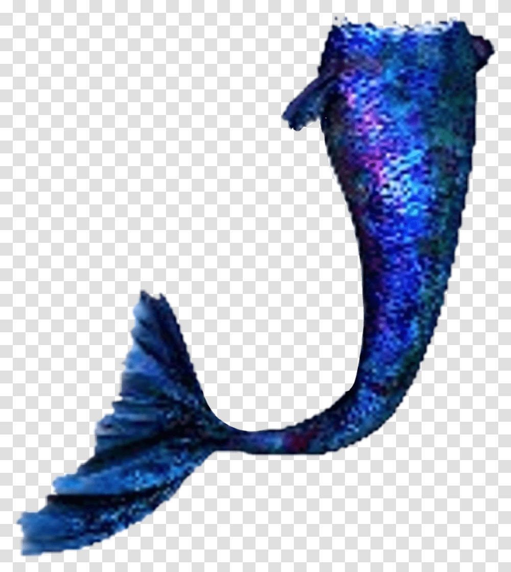 Blue Mermaid Mermaidtail, Animal, Sea Life, Fish, Mammal Transparent Png