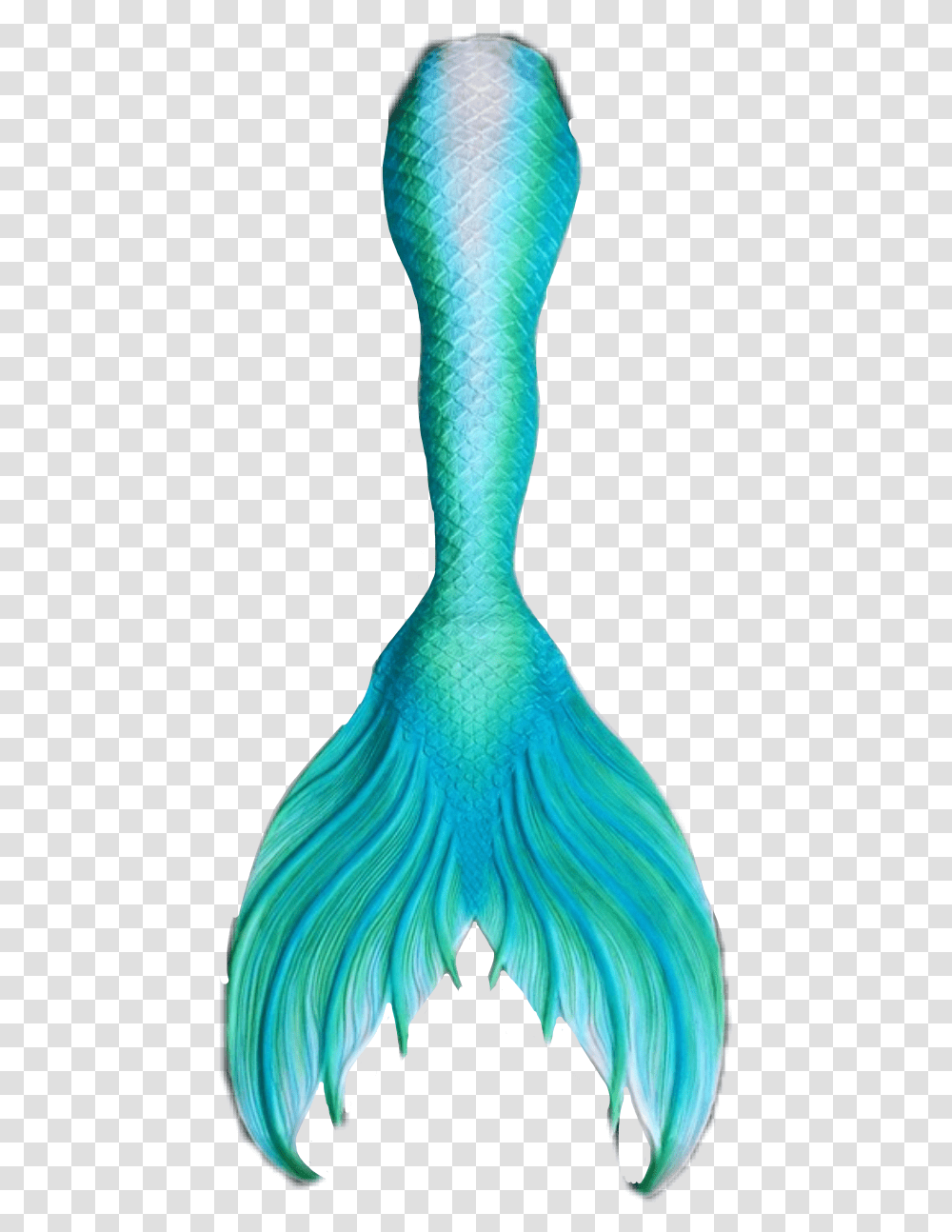 Blue Mermaid Tail Mermaid Tail, Dress, Animal Transparent Png
