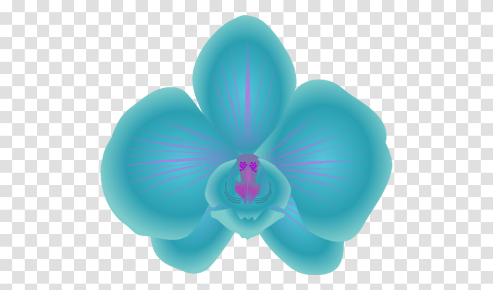 Blue Orchids Vector Animated Blue Orchid Flower, Plant, Balloon, Blossom Transparent Png