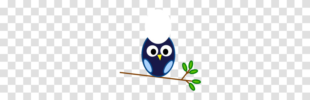 Blue Owl Branch Clip Art, Animal, Angry Birds Transparent Png