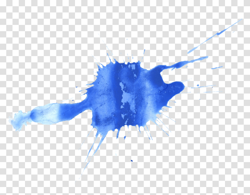 Blue Paint Splatter, Invertebrate, Animal Transparent Png