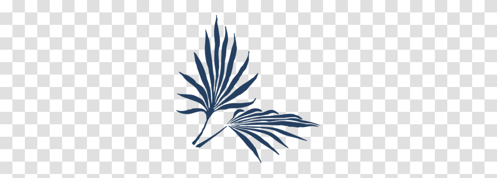 Blue Palm Frond Clip Art, Plant, Nature, Outdoors, Leaf Transparent Png
