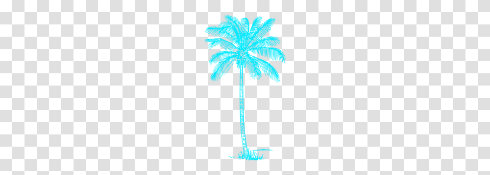 Blue Palm Tree Clip Art, Leaf, Plant, Maple Leaf, Poster Transparent Png