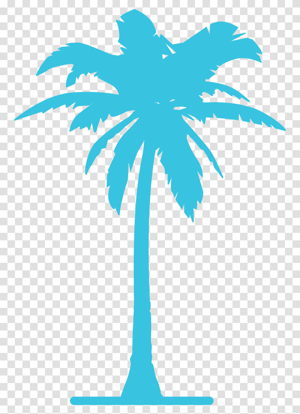 Blue Palm Tree, Plant, Arecaceae, Leaf, Tropical Transparent Png