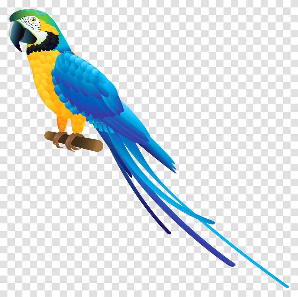 Blue Parrot Clipart Background Parrot, Macaw, Bird, Animal Transparent Png