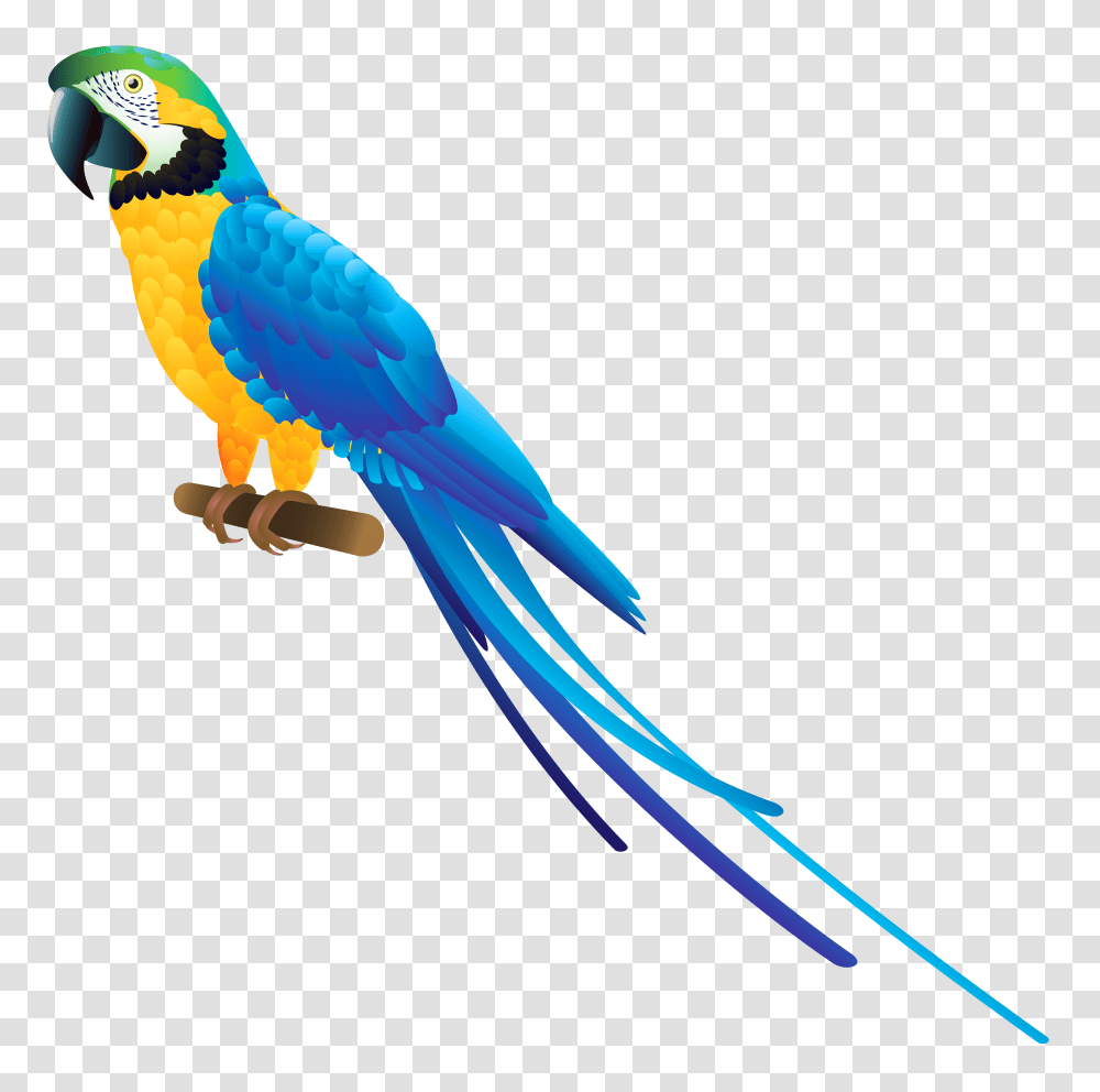 Blue Parrot Clipart, Macaw, Bird, Animal Transparent Png