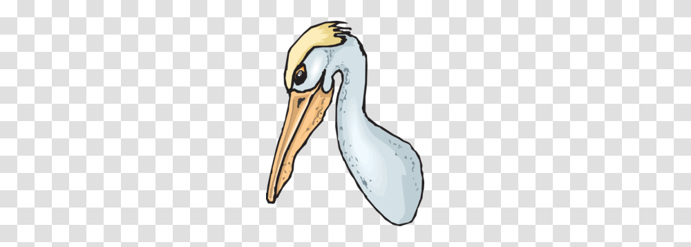 Blue Pelican Head Clip Art, Animal, Bird, Beak, Waterfowl Transparent Png