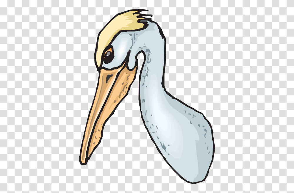 Blue Pelican Head Clip Art, Animal, Bird, Crane Bird, Stork Transparent Png