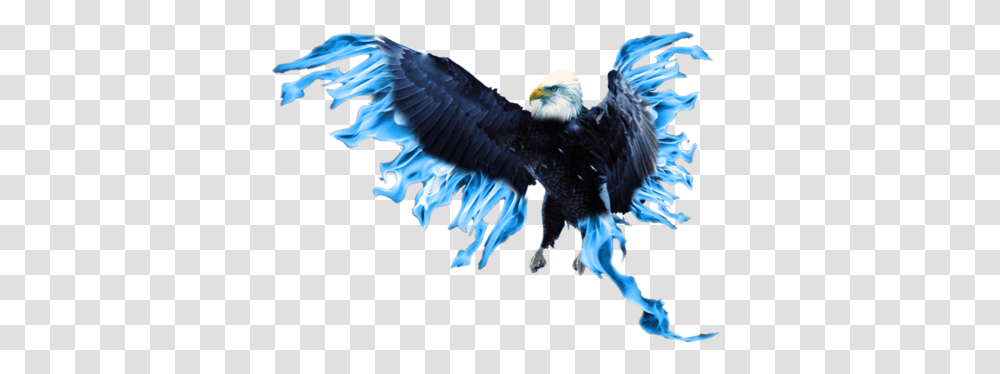 Blue Phoenix Mart Blue Phoenix, Eagle, Bird, Animal, Bald Eagle Transparent Png