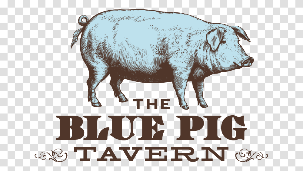 Blue Pig Tavern Print, Hog, Mammal, Animal, Boar Transparent Png
