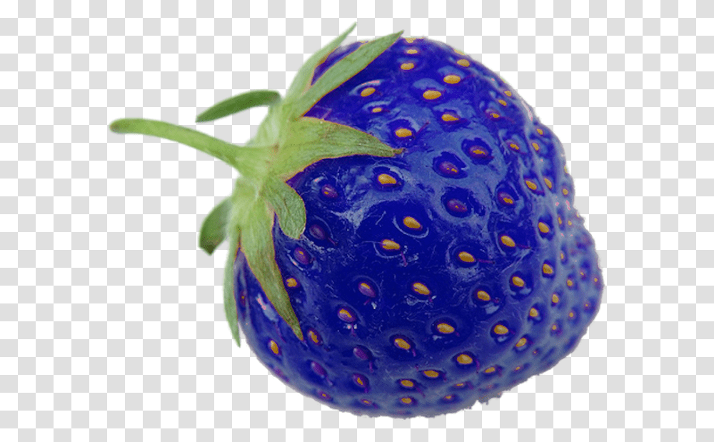 Blue Pineberry, Plant, Strawberry, Fruit, Food Transparent Png