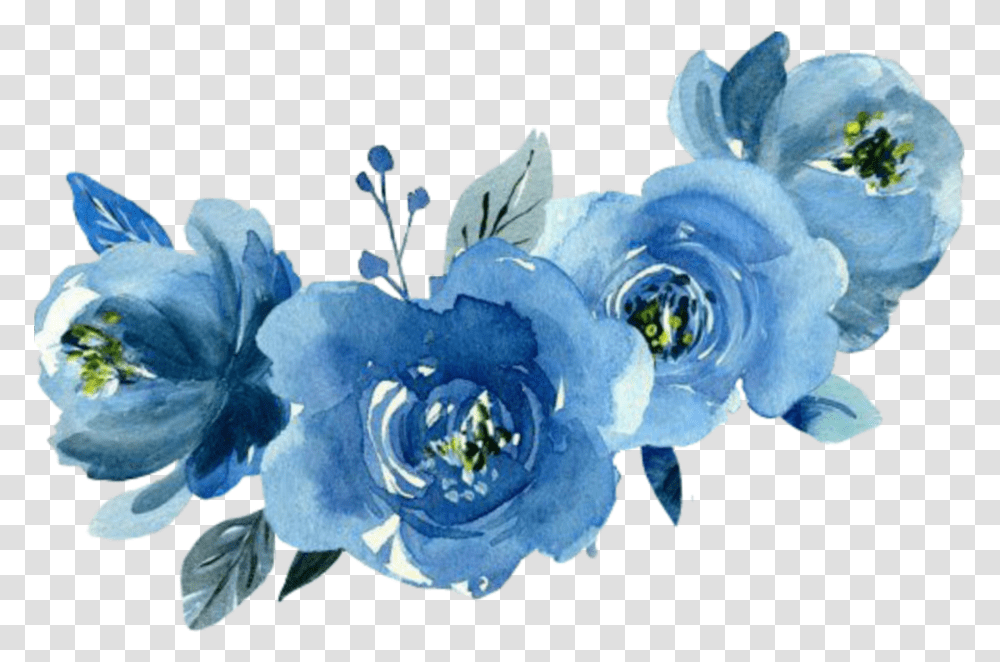 Blue, Plant, Flower, Blossom, Anemone Transparent Png