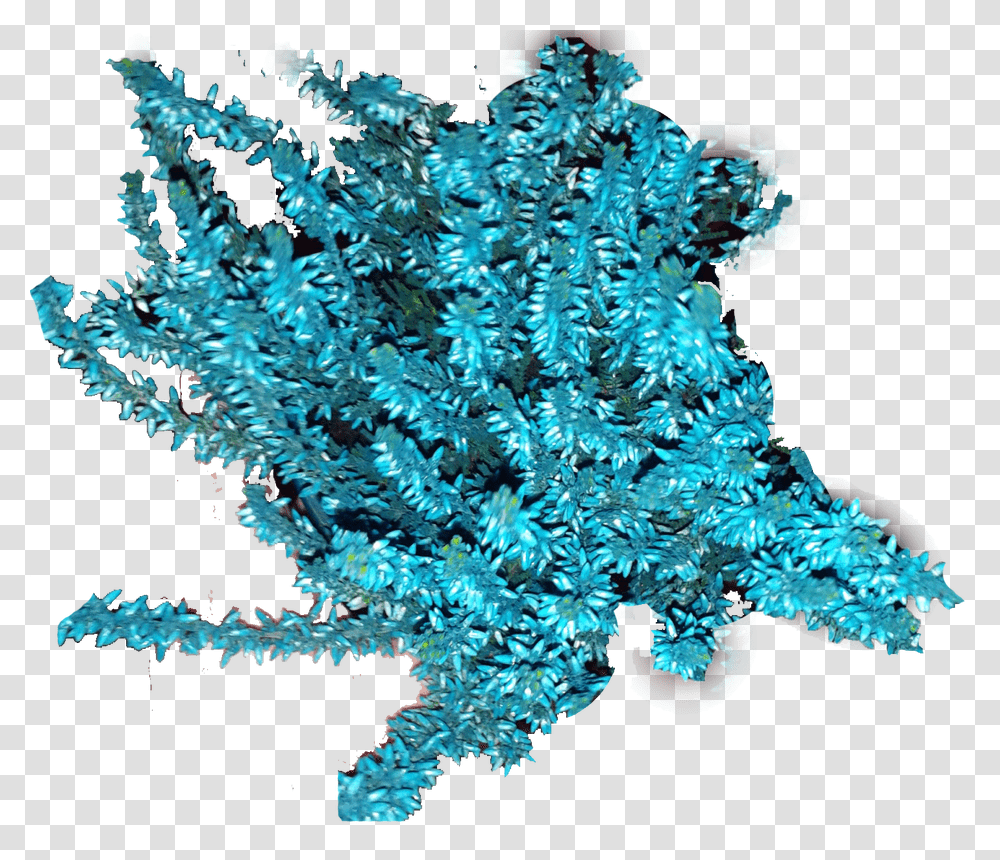 Blue Plant Illustration, Ornament, Crystal, Pattern, Fractal Transparent Png