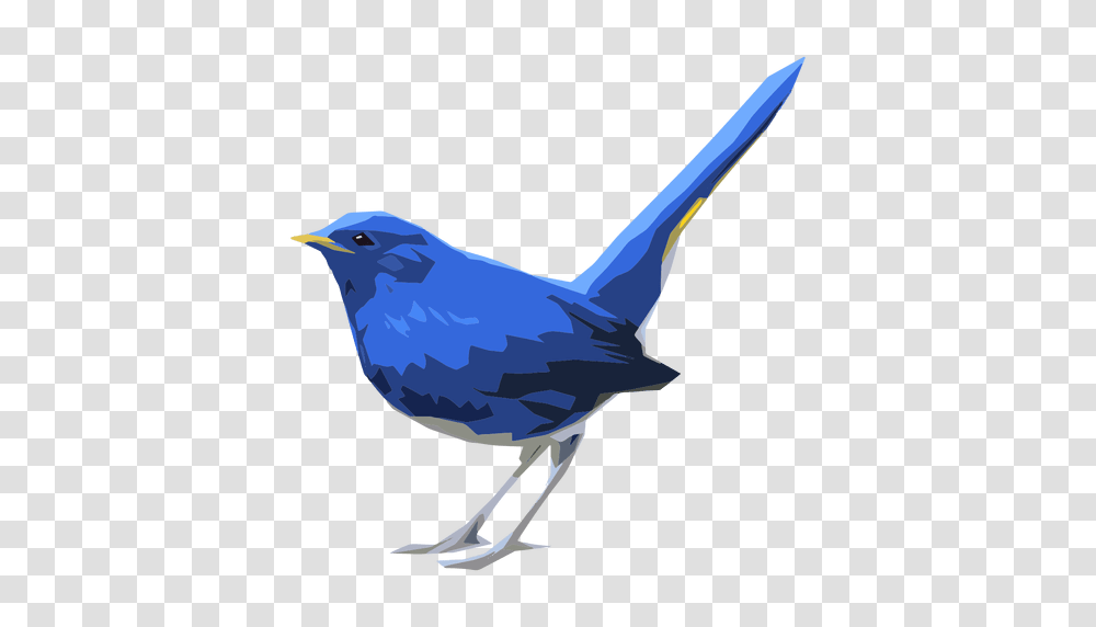 Blue Redstart Bird Illustration, Animal, Jay, Blue Jay, Bluebird Transparent Png