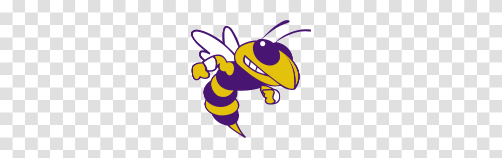 Blue Ridge High School, Wasp, Bee, Insect, Invertebrate Transparent Png