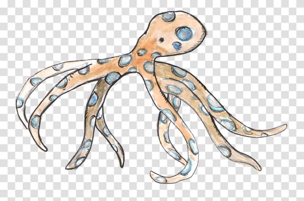 Blue Ring Octopus Octopus, Sea Life, Animal, Invertebrate, Scissors Transparent Png
